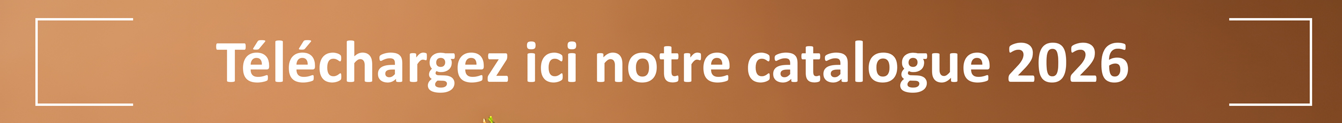 Accéder à notre catalogue de formations 2025 Accéder à notre catalogue de formations 2025