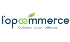 logo OPCOMMERCE